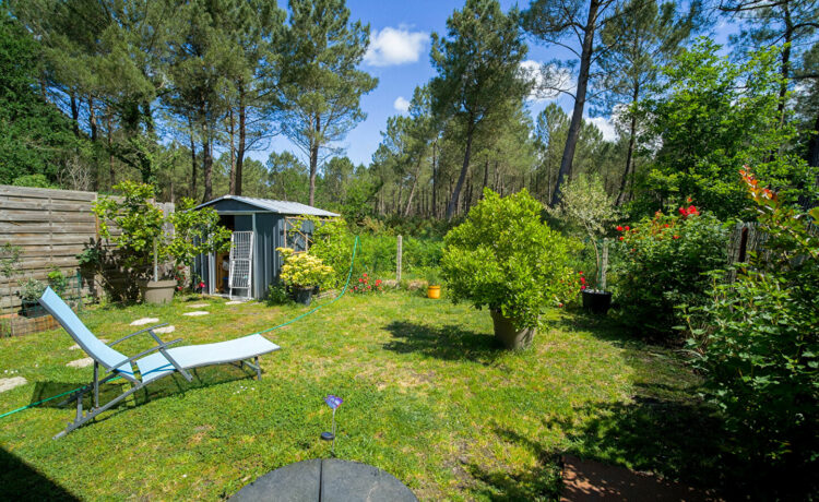 Bel appartement type T2 lisière de forêt