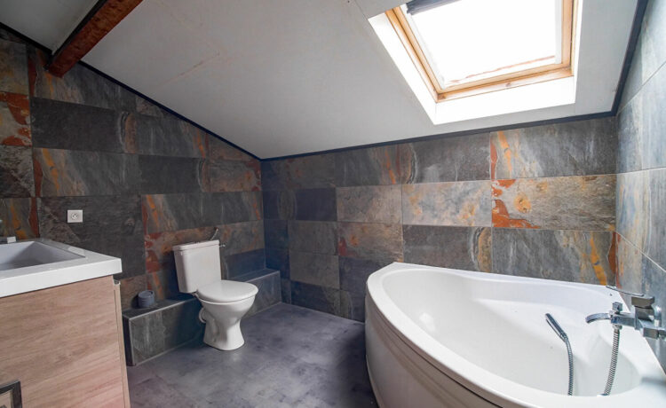 Maison Parentis En Born 8 pièce(s) 164 m² + 73 m² 2